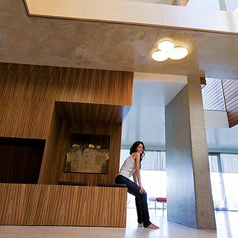 Ceiling Fixtures Puck