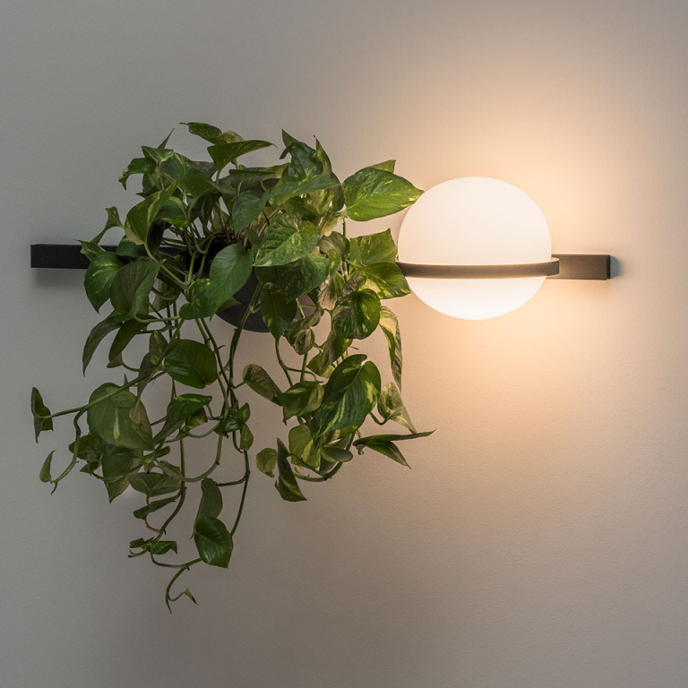 The Palma Wall Lamp: Bringing the Outdoors In