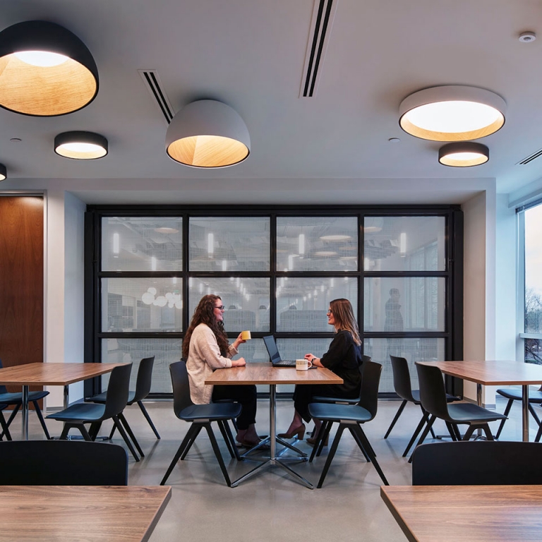 Duo and Halo Pendants Selected for New US Toyota Service Centers