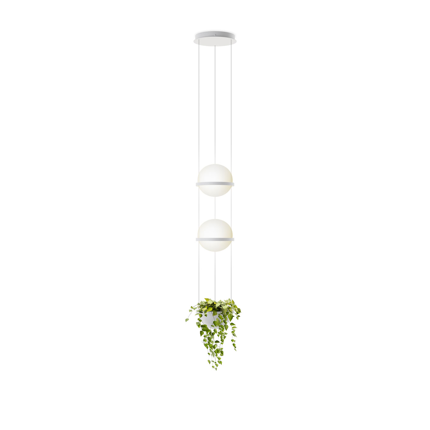 Vibia The Edit - Versatile pendant lights for future office spaces - Palma